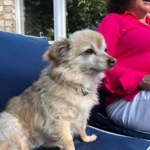 Meet your Posher, Maria